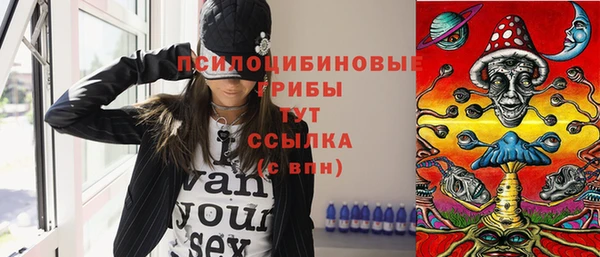 ECSTASY Армянск