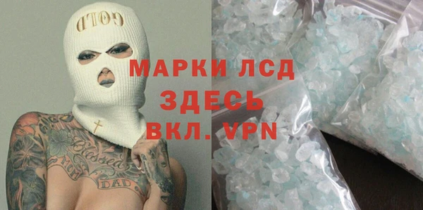 гидра Аркадак