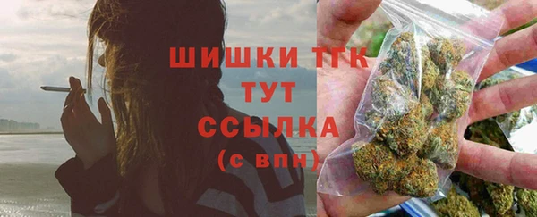 гидра Аркадак
