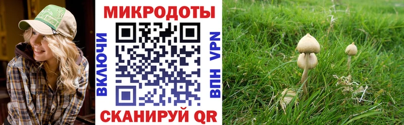 Псилоцибиновые грибы MAGIC MUSHROOMS Афипский